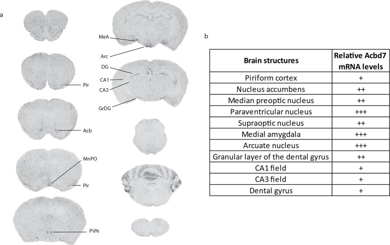 Figure 1—figure supplement 2.