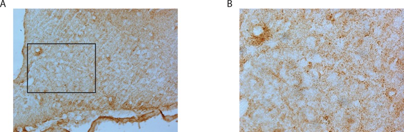 Figure 1—figure supplement 3.