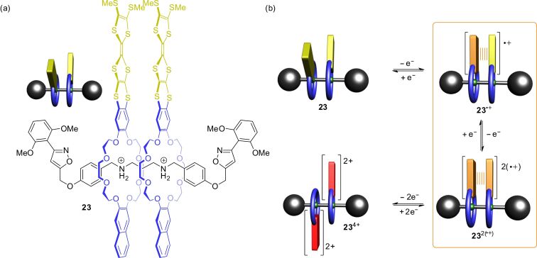 Figure 21