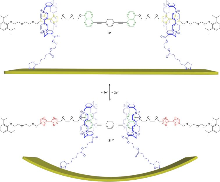 Figure 19