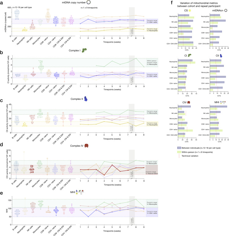 Figure 6—figure supplement 3.