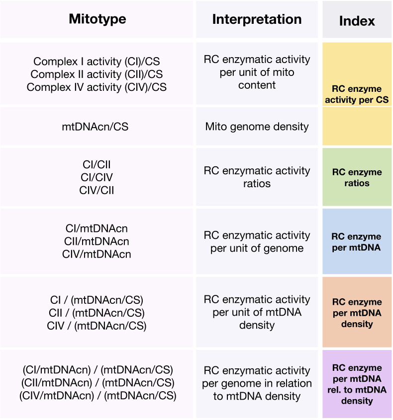 Figure 7—figure supplement 1.