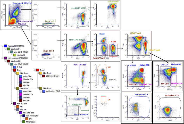 Figure 1—figure supplement 2.