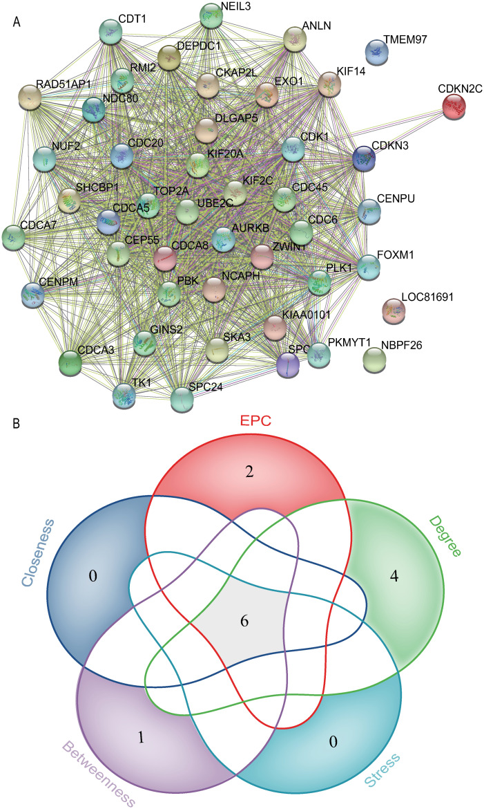 Fig 6