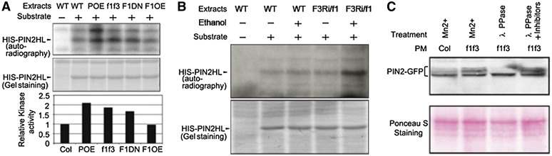 Figure 4.