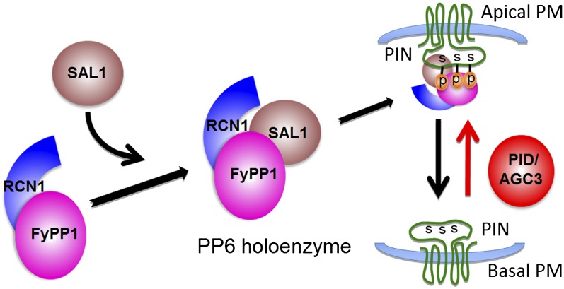 Figure 9.