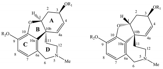 graphic file with name molecules-16-09520-i001.jpg