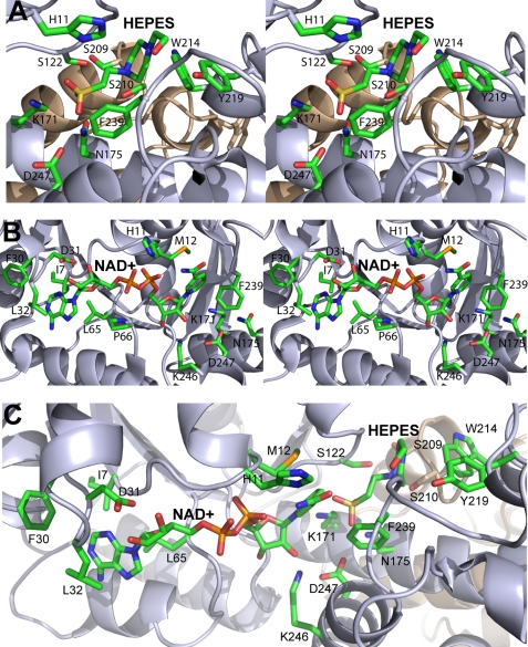 FIGURE 6.