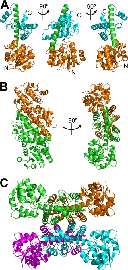 FIGURE 4.