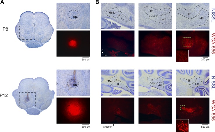 Fig. 4.