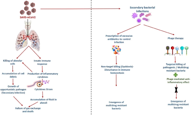 Image, graphical abstract