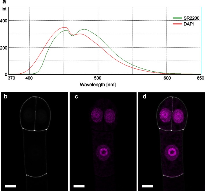 Fig. 3