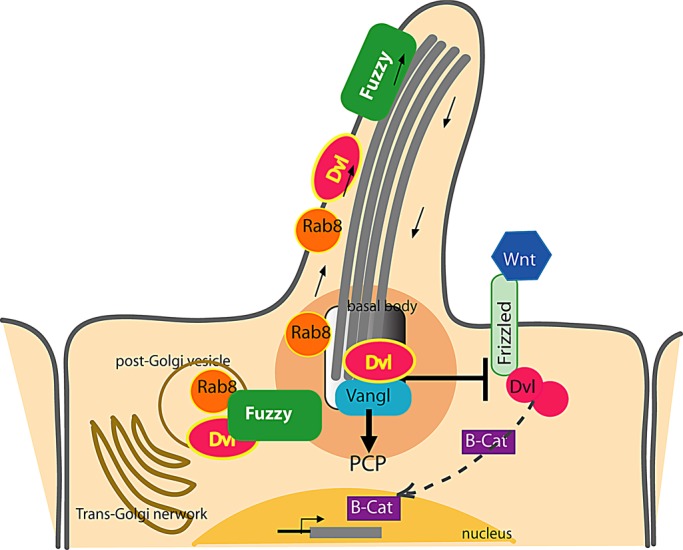 FIGURE 7: