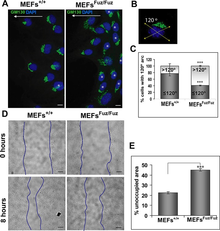 FIGURE 6: