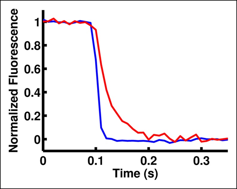 Figure 2—figure supplement 1.