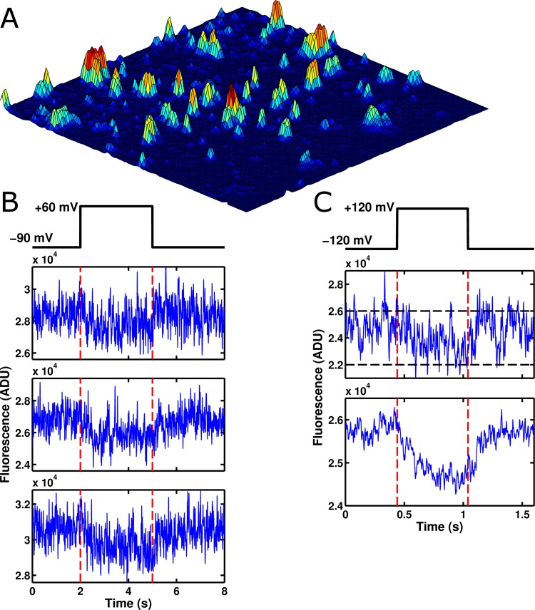 Figure 2.