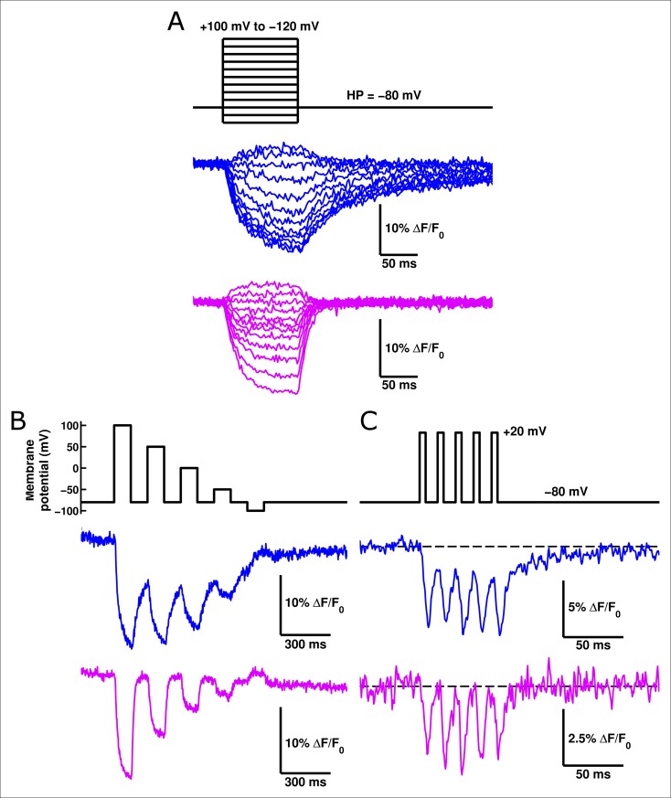 Figure 6.