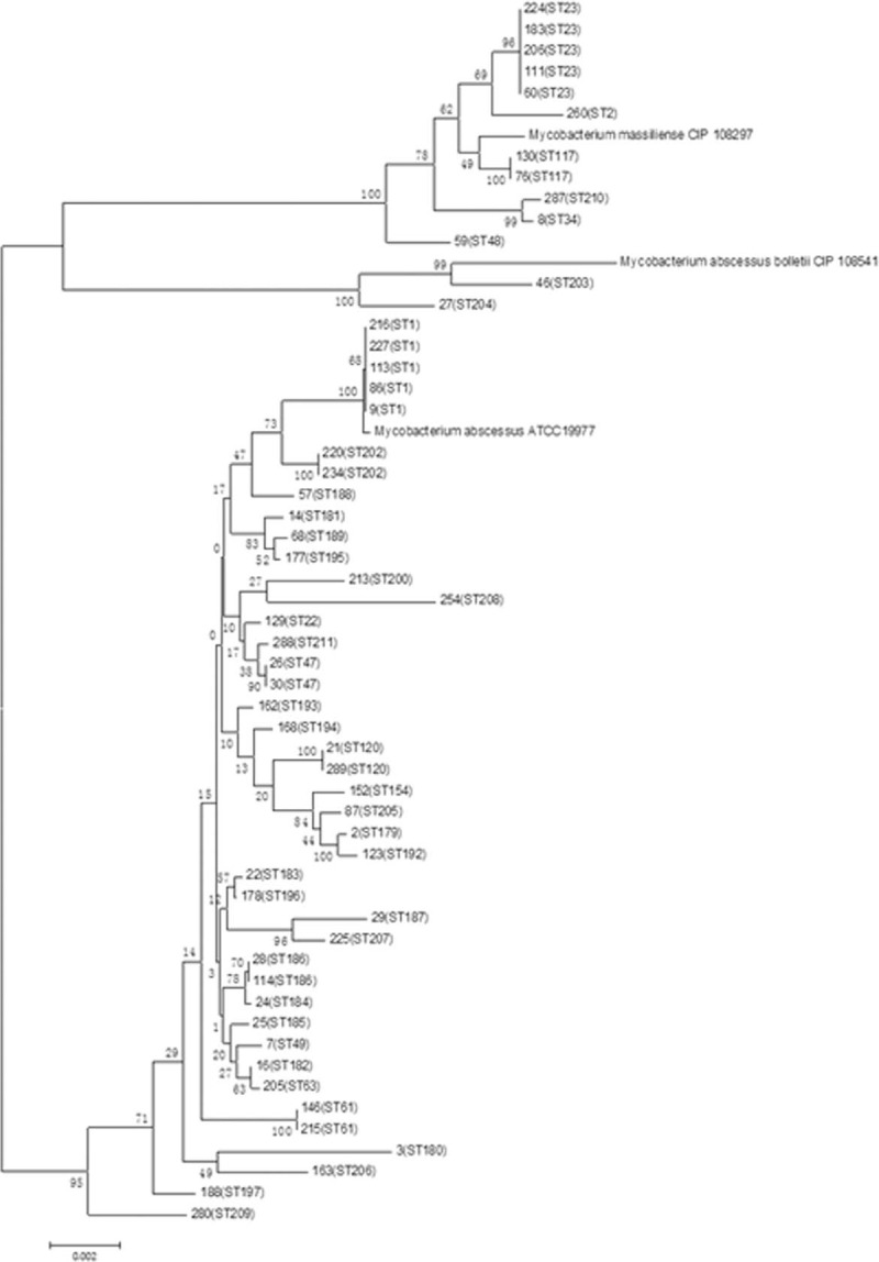 FIGURE 1