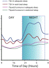 Figure 2: