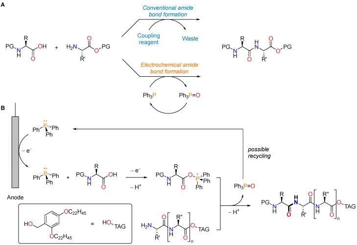 Figure 22