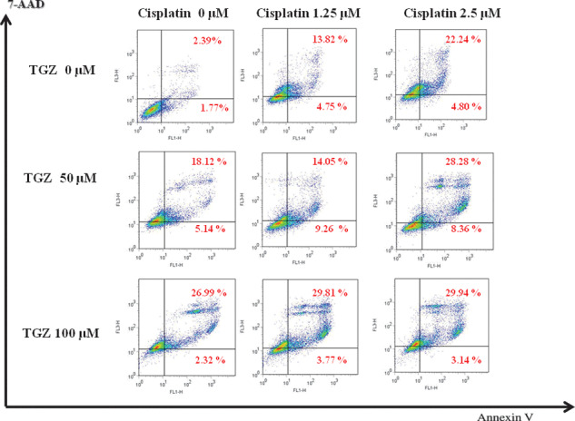 Figure 6