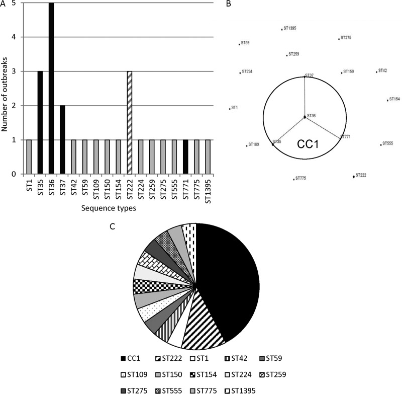 FIG 1