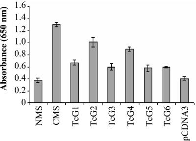 FIG. 5.