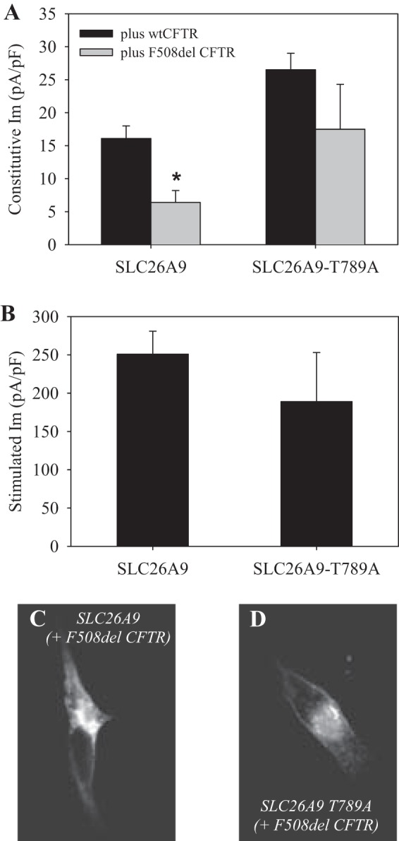 Fig. 7.