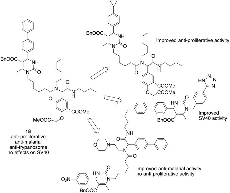 Scheme 6