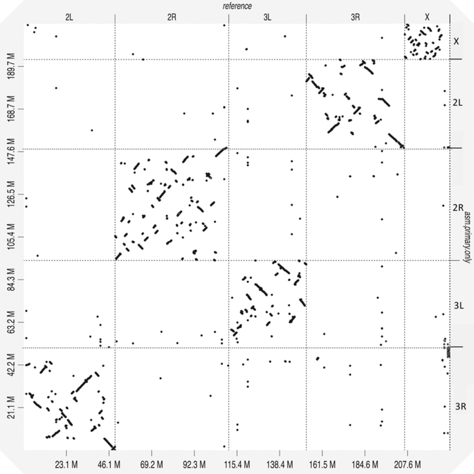 Figure 3: