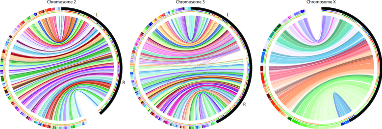 Figure 1: