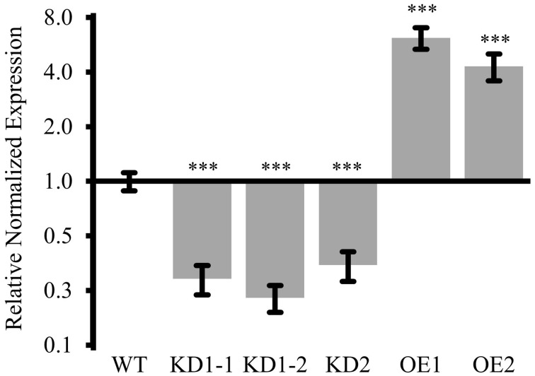 Figure 5