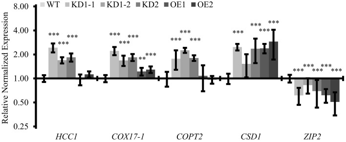 Figure 9