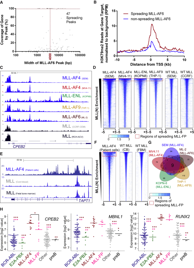 Figure 4