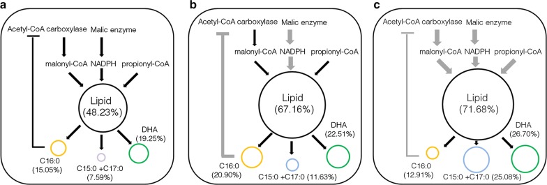 Fig. 6