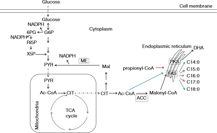 Fig. 1