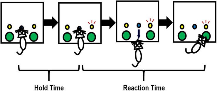 FIGURE 2