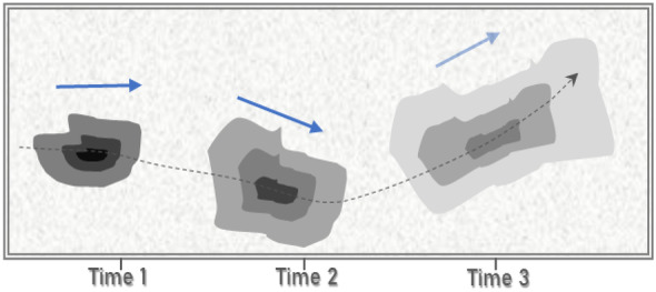 Fig. 8