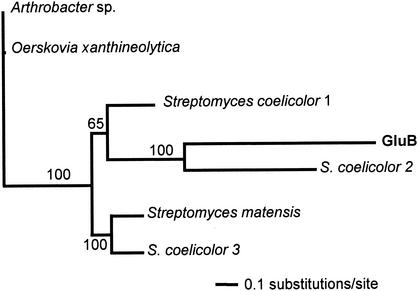 FIG. 2.