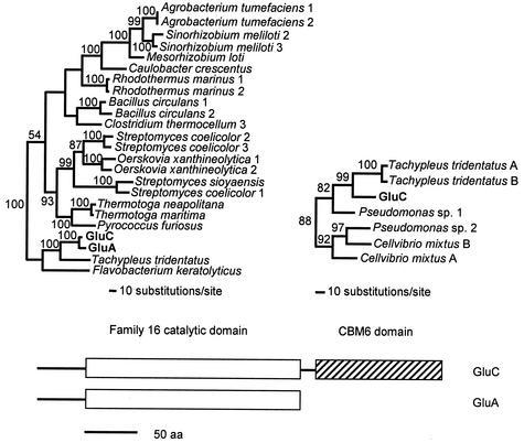 FIG. 3.