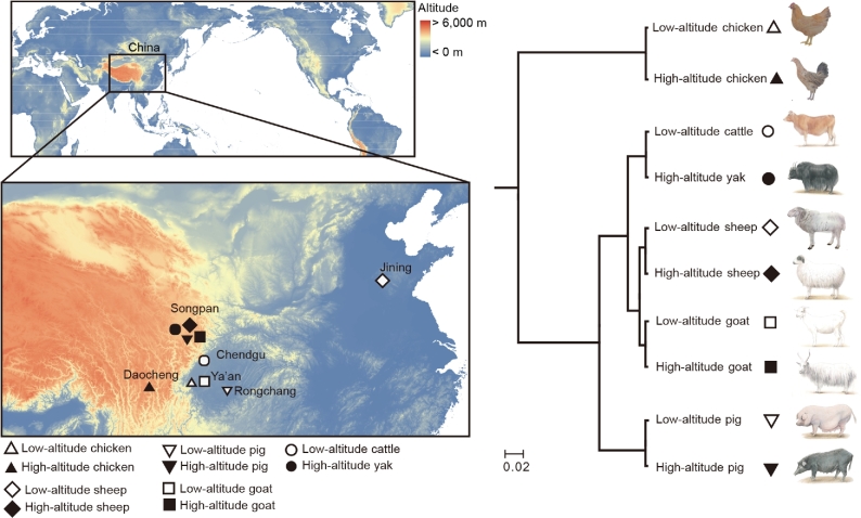 Figure 1: