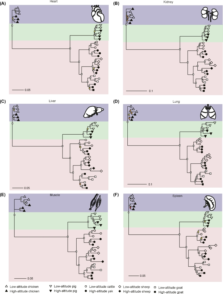 Figure 2: