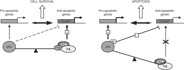 Figure 9.