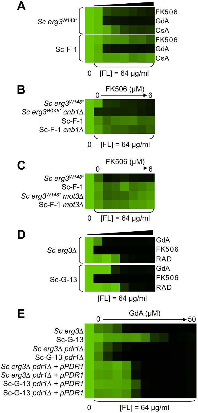 Figure 6