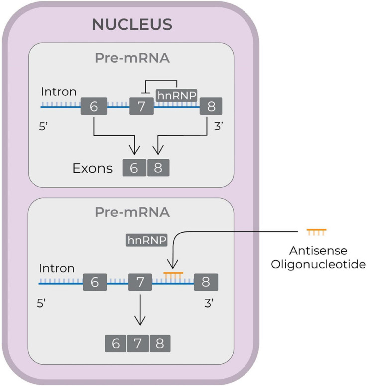 FIGURE 2