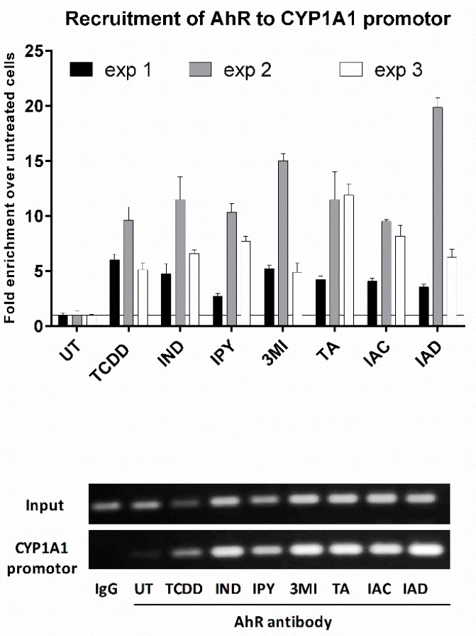 Figure 7