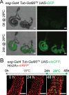 Figure 2—figure supplement 1.