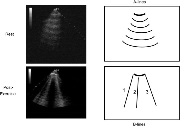 Figure 5