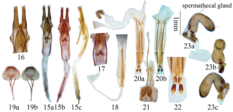 Figures 15–23.