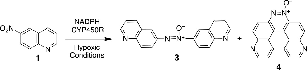 Scheme 3